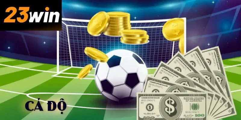 cá cược bóng đá