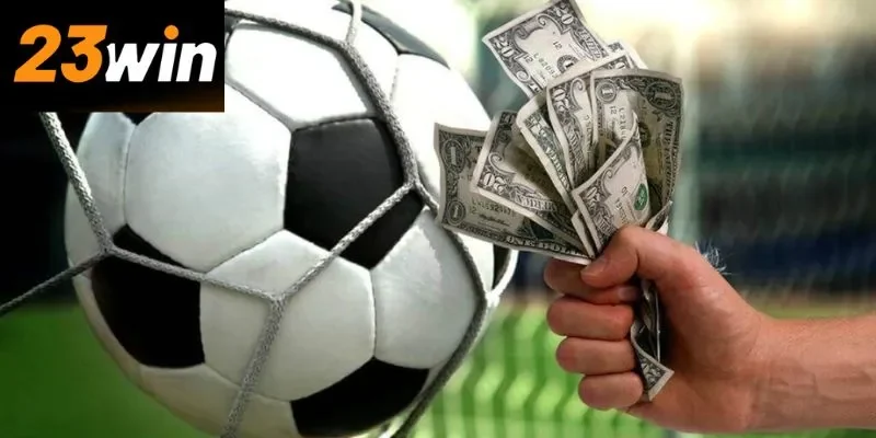 Tổng hợp các loài kèo cược phổ biến 2025